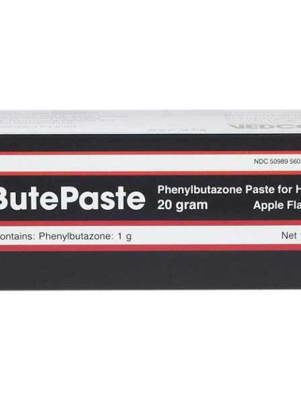 Equi-Phar ButePaste Phenylbutazone Paste for Horses
