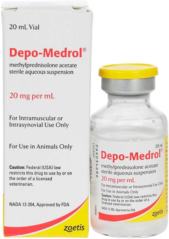 Depo-Medrol for Dogs & Horses