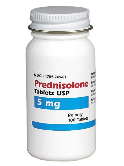 Prednisolone for Dogs, Cats and Horses