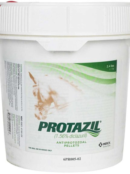 Protazil Antiprotozoal for Horses